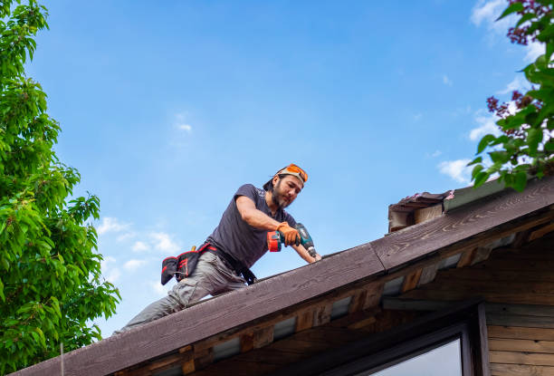 Best Gutter Installation and Repair  in Panacea, FL