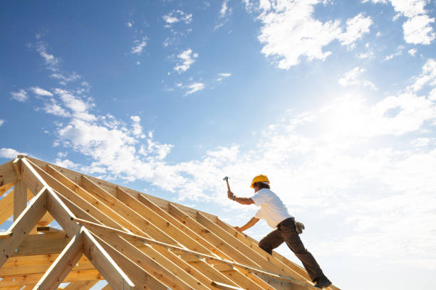 Best Siding  in Panacea, FL